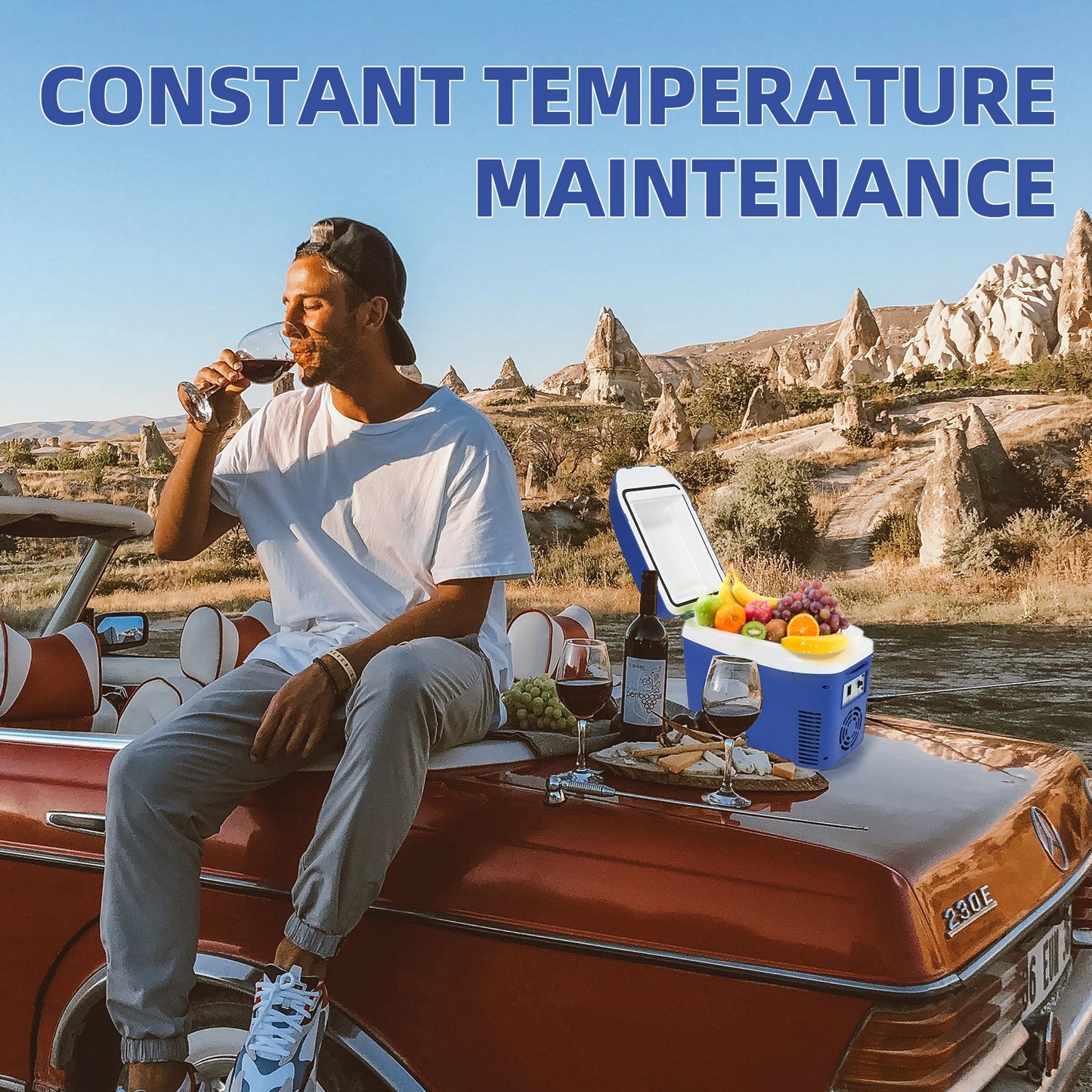 iceBlue Camping Portable Mini Fridge, 7L/9Can Home Car Dual-sue Refrigerator Cooler with DC 12V Cigarette Lighter Power Socket