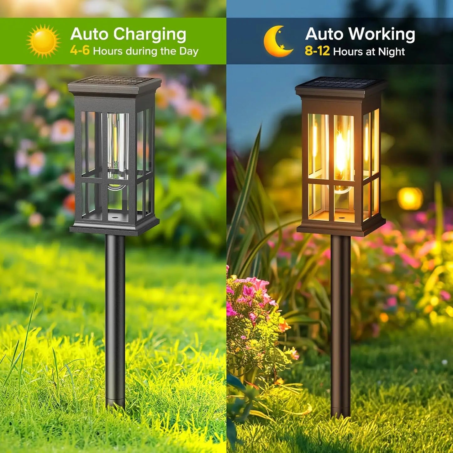 Bright Solar Pathway Lights for Outdoor Patio and Sidewalk - Ky Ky Kiwi
