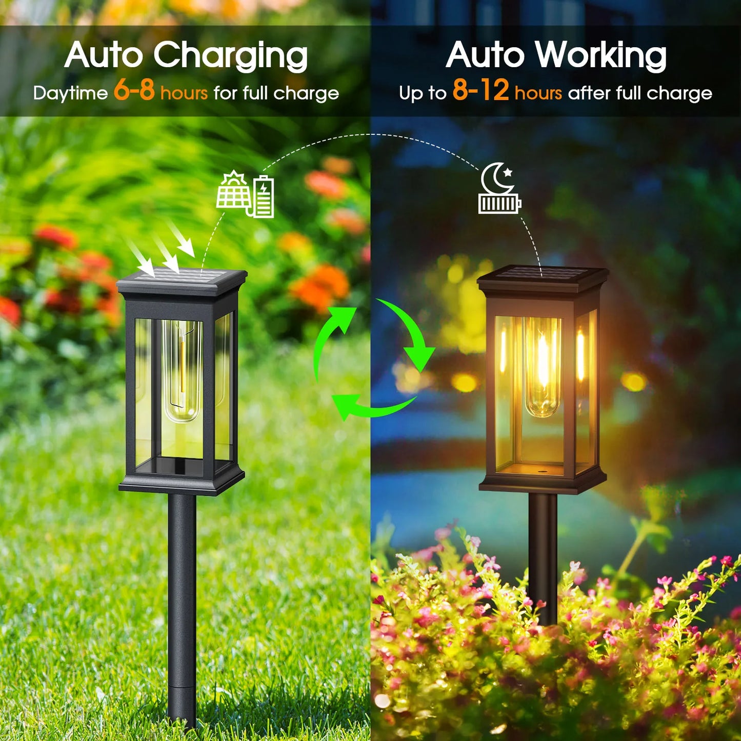 Upgraded Solar Lights for Yard and Garden Walkway Illumination - Ky Ky Kiwi