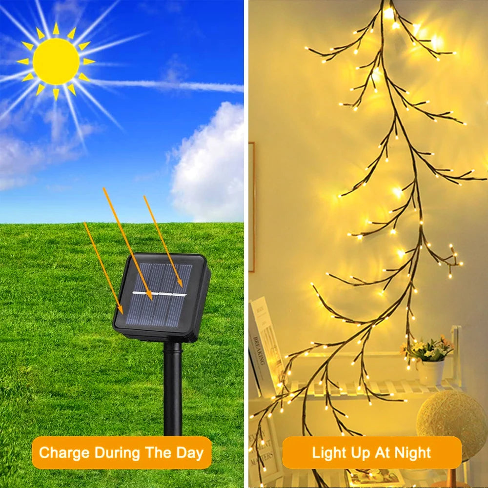 Solar LED String Lights for Outdoor Tree and Vine Decor - Ky Ky Kiwi
