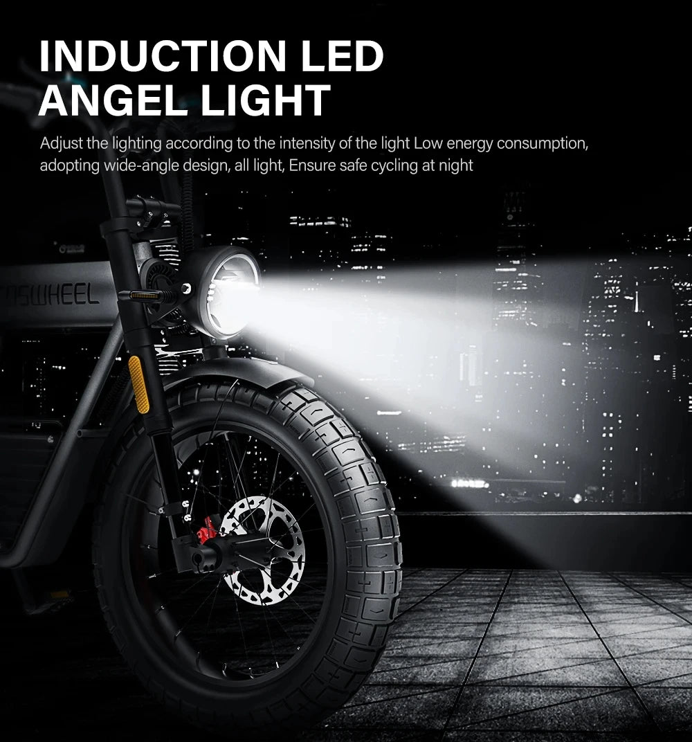 Coswheel Powerful Electric Bike Fat Tire Off-Road Ebike - Ky Ky Kiwi