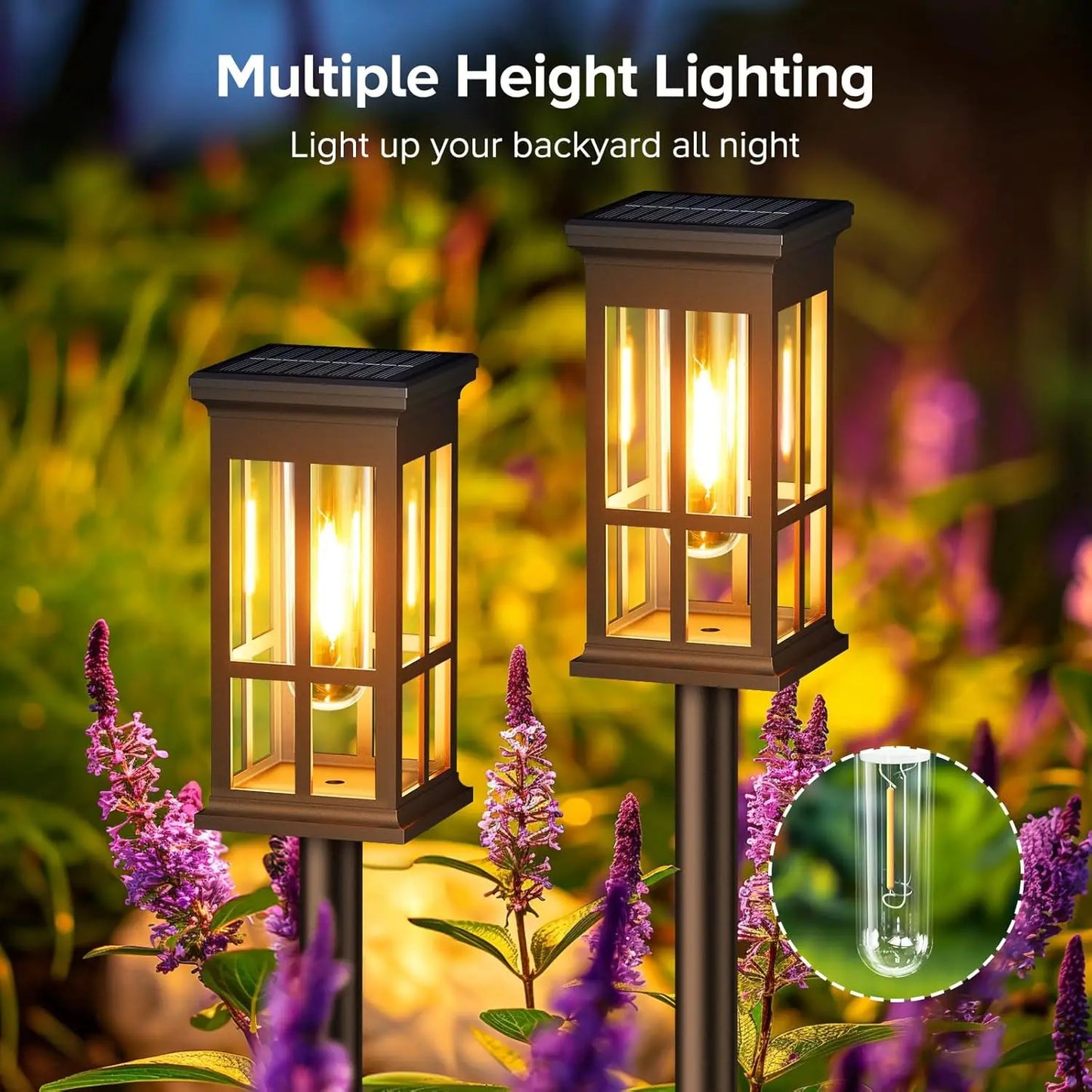 Bright Solar Pathway Lights for Outdoor Patio and Sidewalk - Ky Ky Kiwi