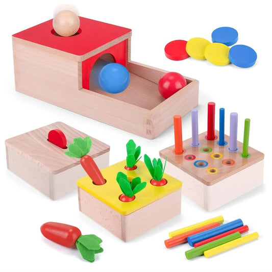 Montessori Toys for 1 Year Old, 4 in 1 Wooden Toys for Baby Boy Girl, Object Permanence Box, Color&Shape Sorting Learning Matchi