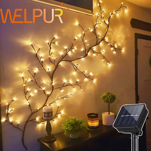 Solar LED String Lights for Outdoor Tree and Vine Decor - Ky Ky Kiwi